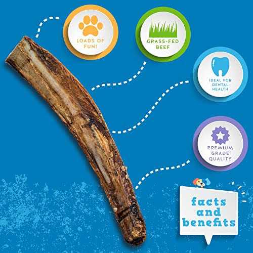 Rib Bones Beef Dog Treats R878512