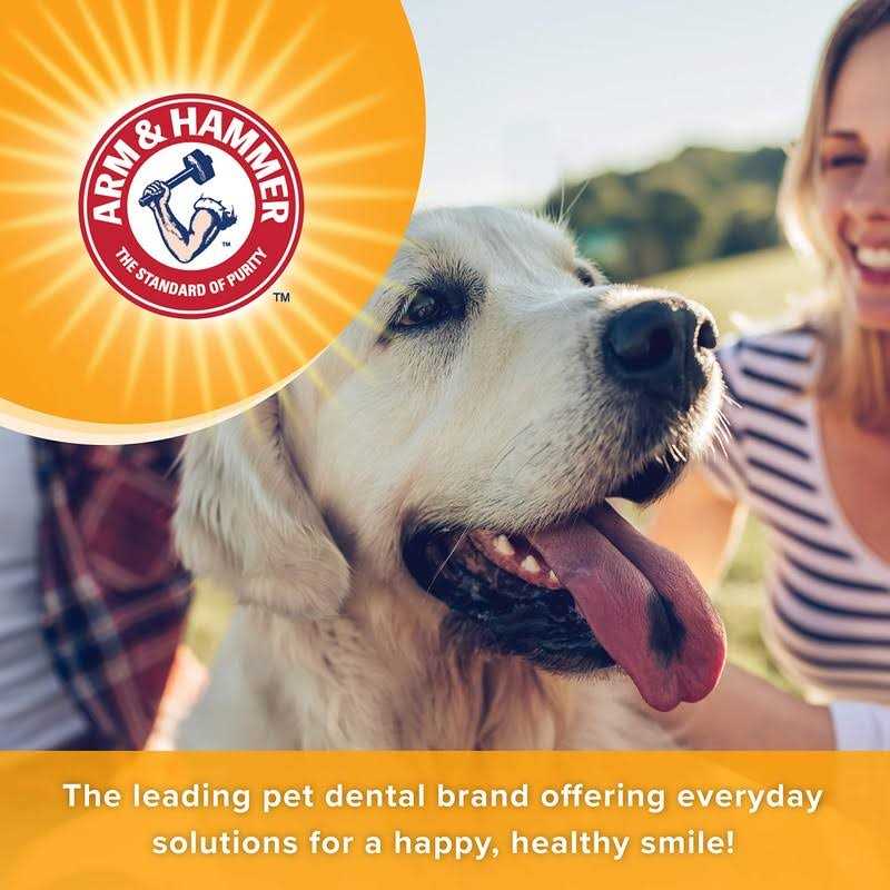 Dog Dental Mints W11001