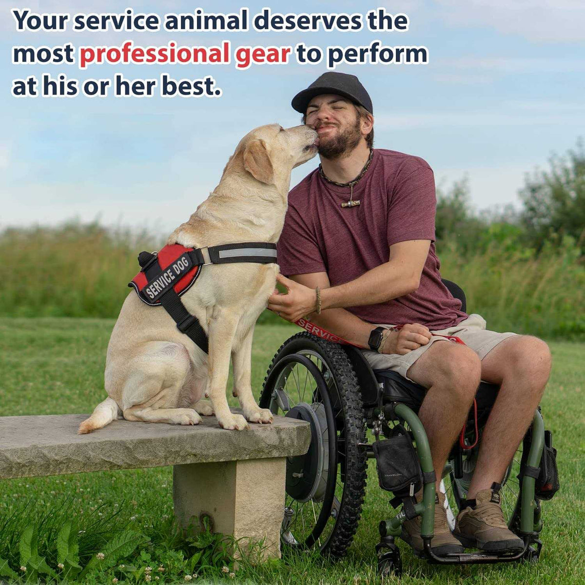 Service Dog Vest with Hook and Loop Straps and Handle Q48990