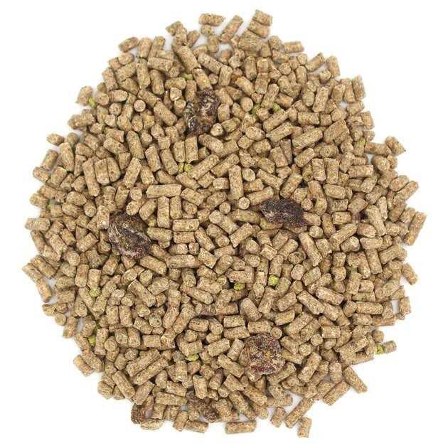 Sugar Glider Food P645