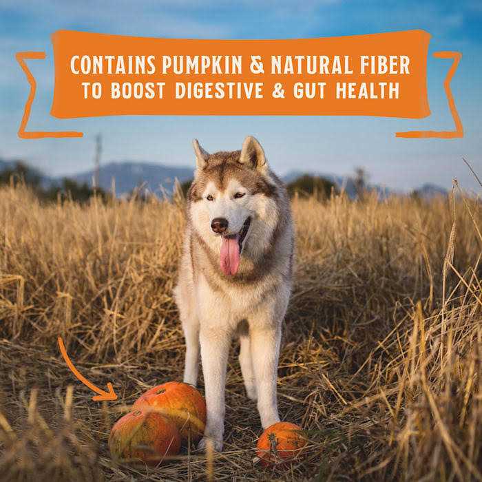 High Protein Chicken Stew Wet Dog Food B106