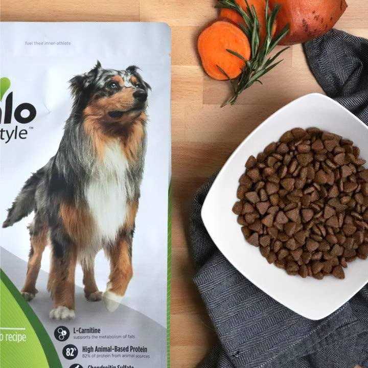 Grain-Free Trout & Sweet Potato Dry Dog Food O384