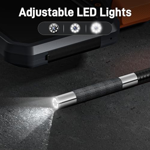 Two-Way Articulating Borescope with Light D889115