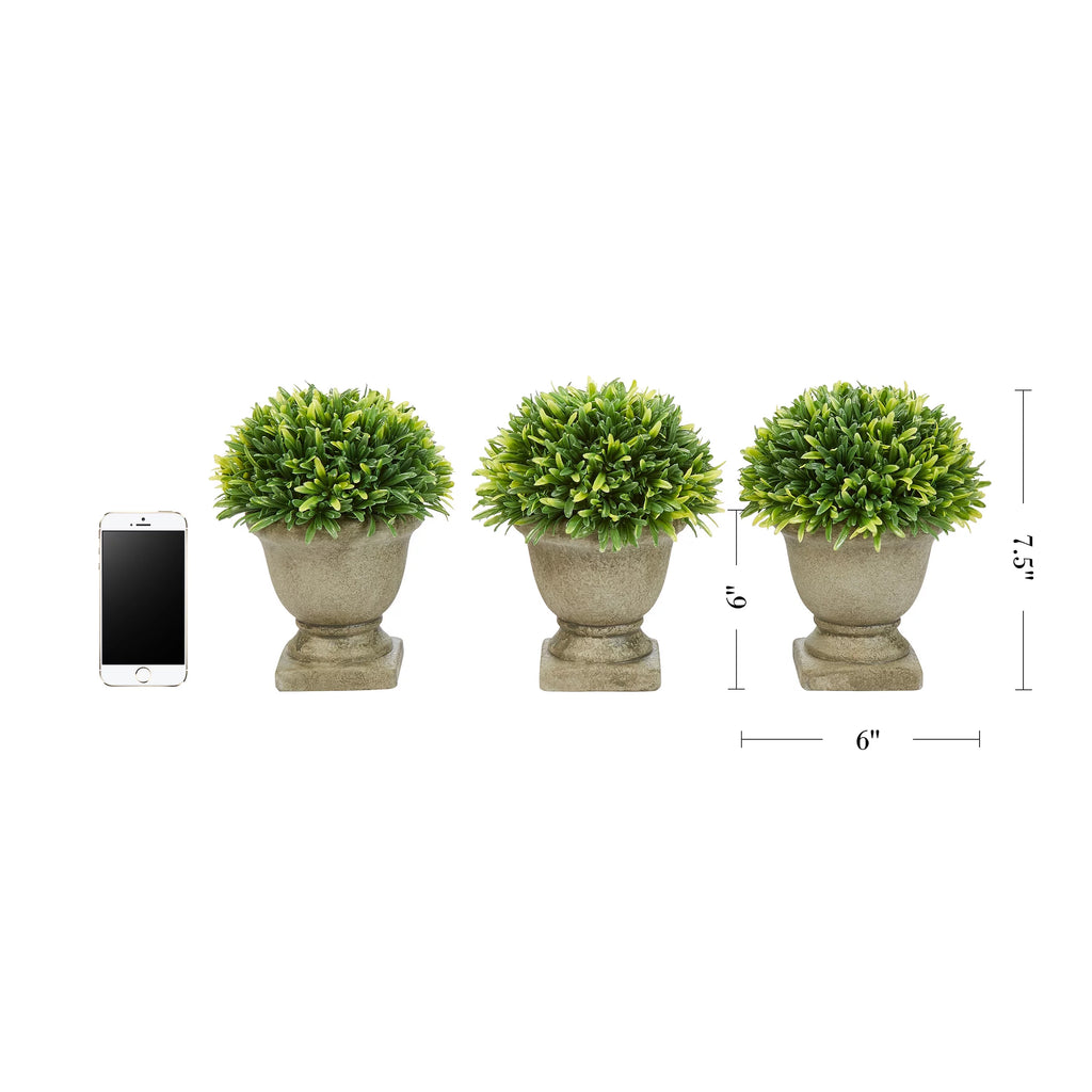 Artificial Podocarpus Grass Plant in Concrete Pot Set of 3 J988