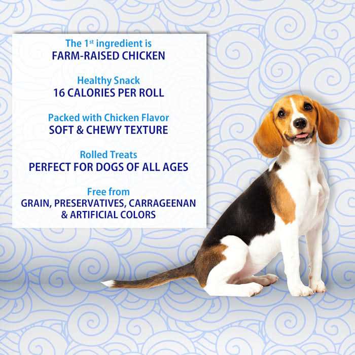 Chicken Recipe Dog Treat B4836