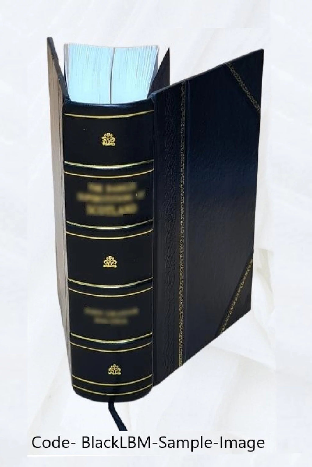 Libro storico su Pio VII O333
