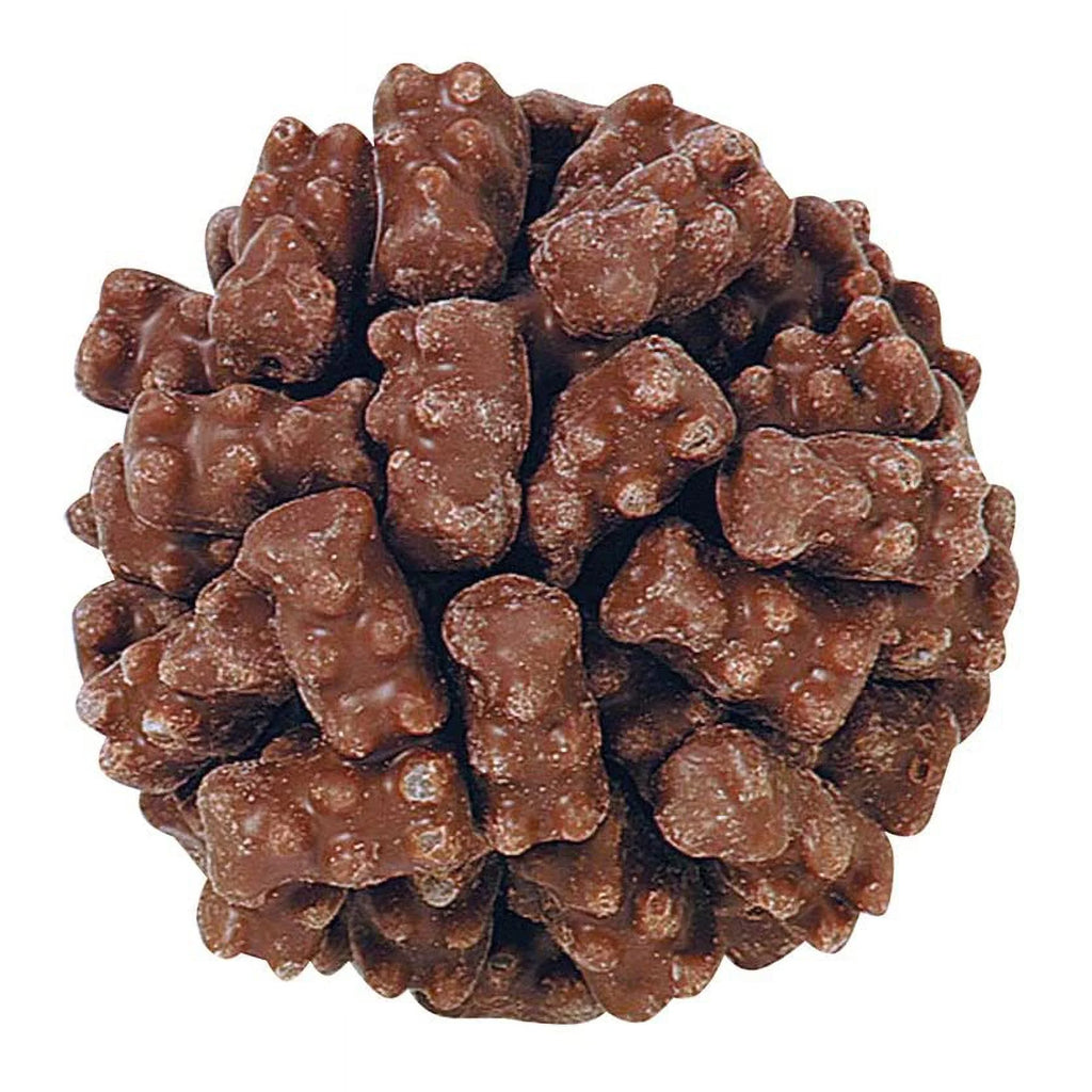 Milk Chocolate Gummies Candy Bag 2 LB Y3679