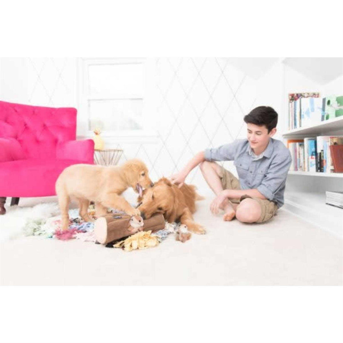 Dog Toy N710103