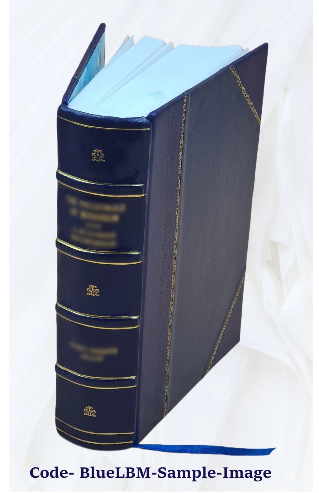 Libro storico su Pio VII O333