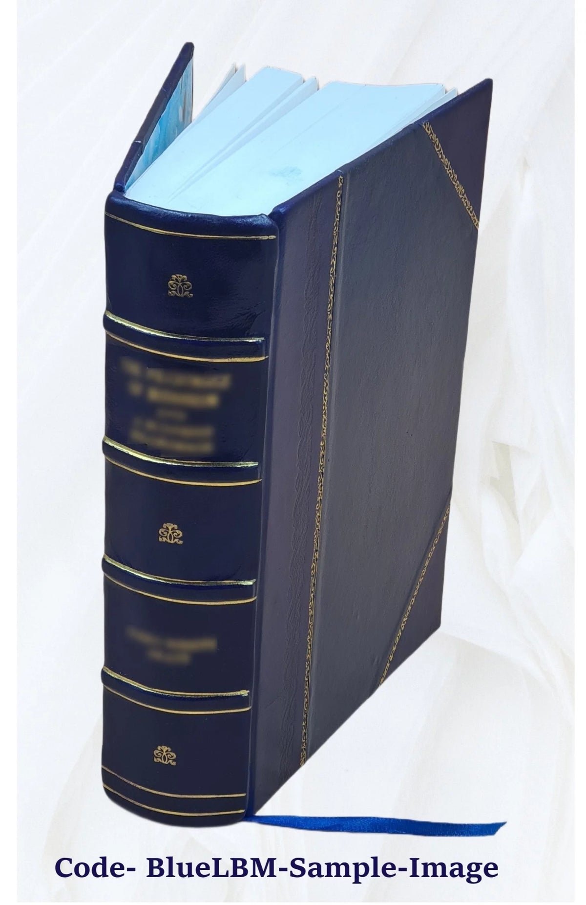 Libro storico su Pio VII O333