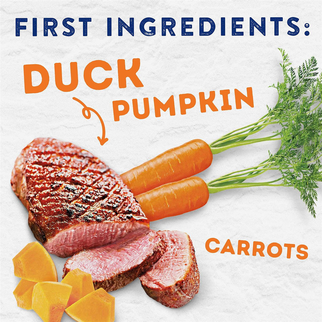 Savory Duck & Pumpkin Recipe Wet Dog Food T27138