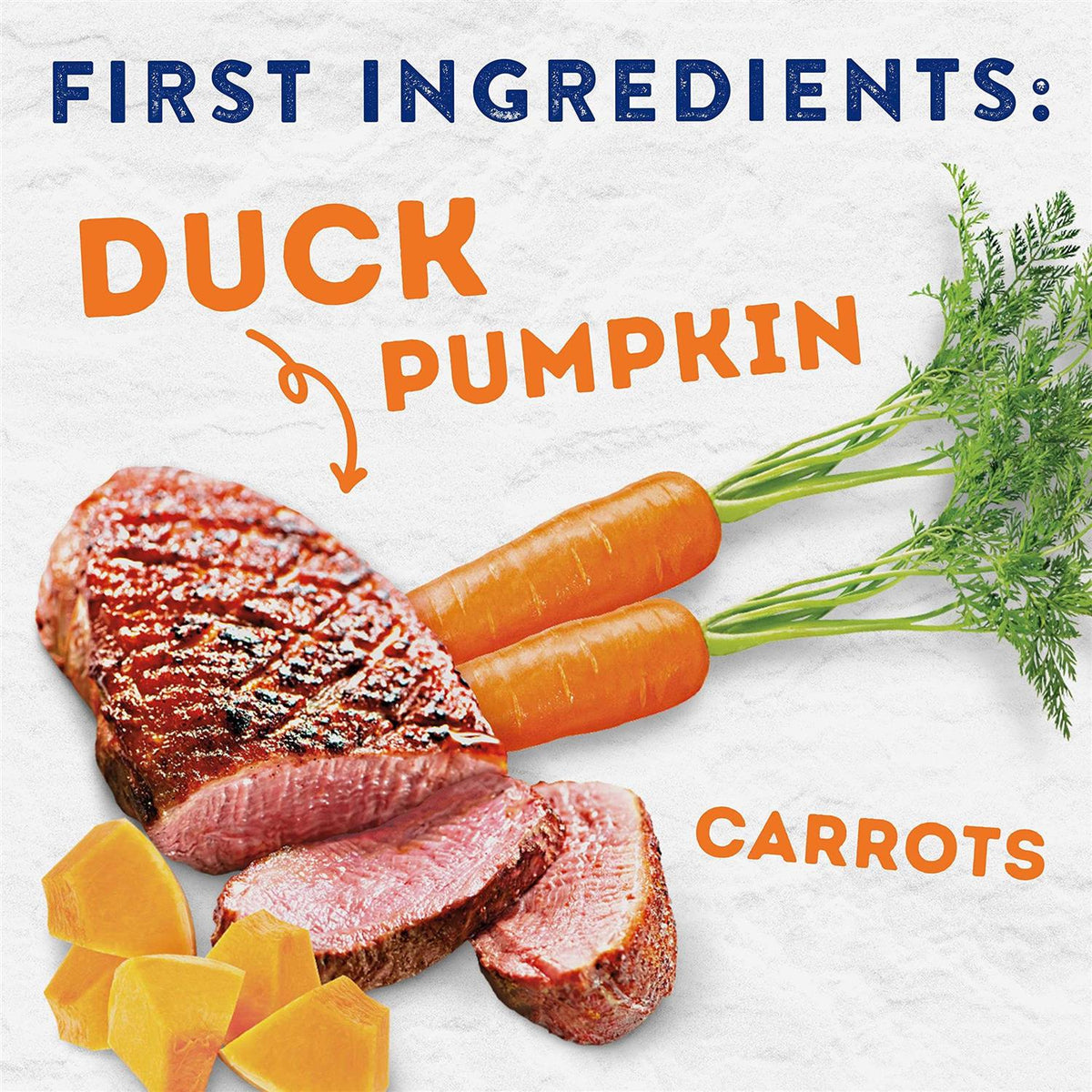 Savory Duck & Pumpkin Recipe Wet Dog Food T27138