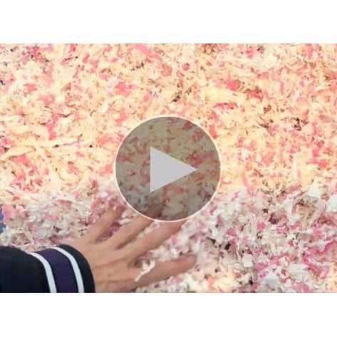 Natural Paper Bedding with Rose Petals X196