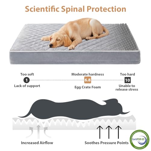 XL Waterproof Dog Bed with Removable Washable Cover A7878