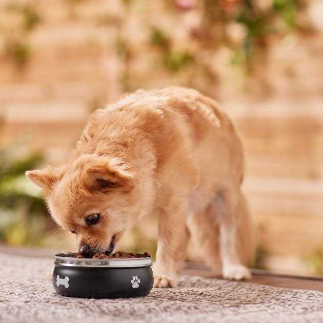 Non-skid Stainless Steel Dog & Cat Bowl Q255276