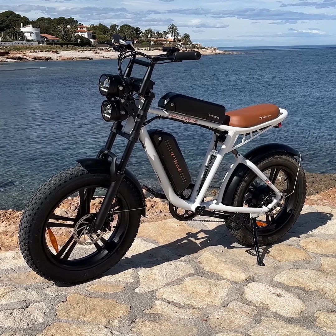 750W 20" Fat Tire Electric Bike with 48V/26Ah Battery F210780