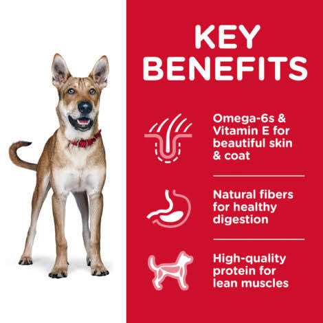 Chicken & Barley Recipe Dry Dog Food U655
