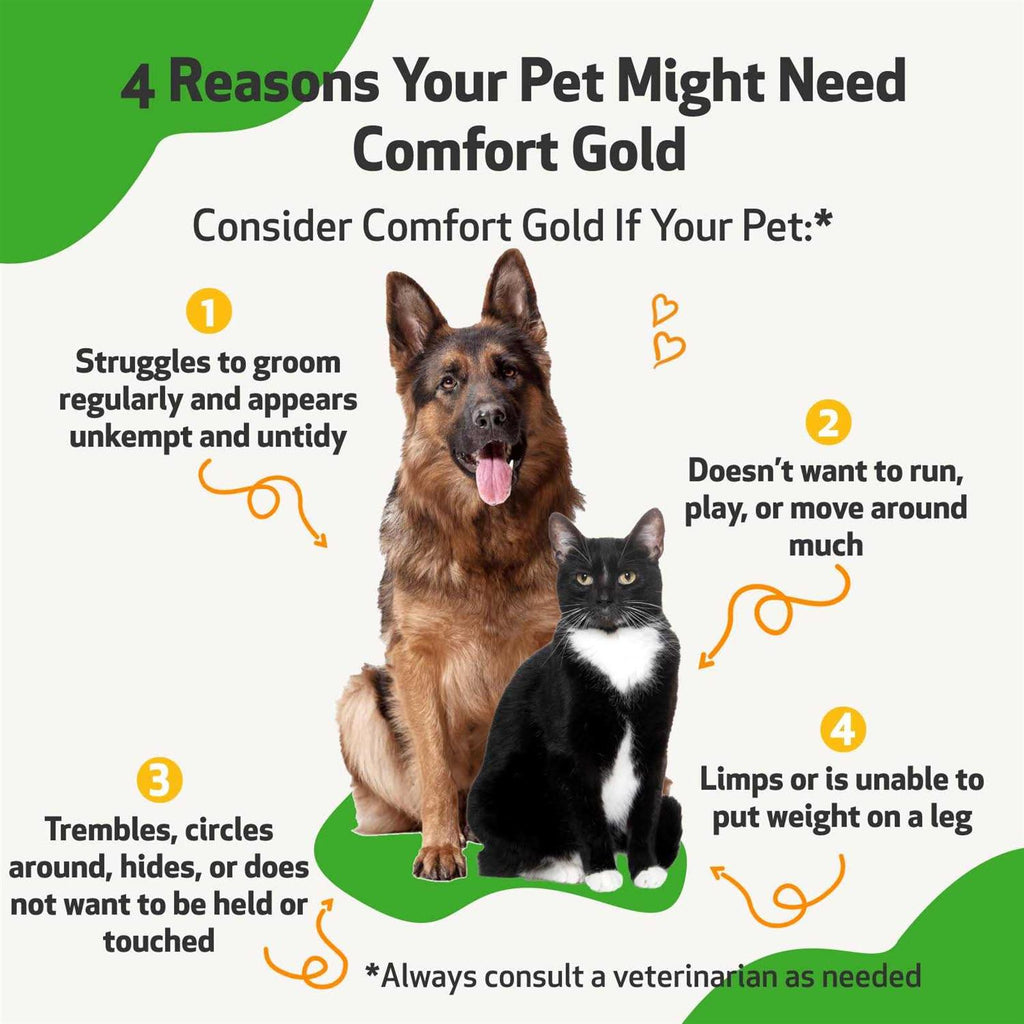 Comfort Gold for Cats U494