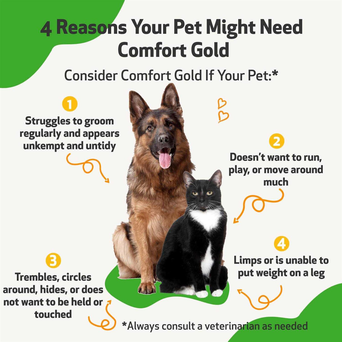Comfort Gold for Cats U494