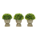 Artificial Podocarpus Grass Plant in Concrete Pot Set of 3 J988