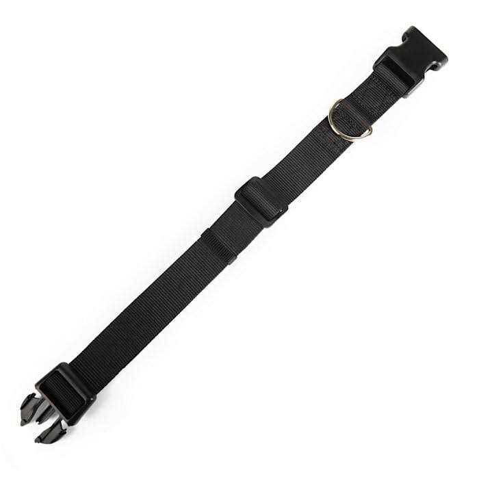 Adjustable Dog Collar R962967