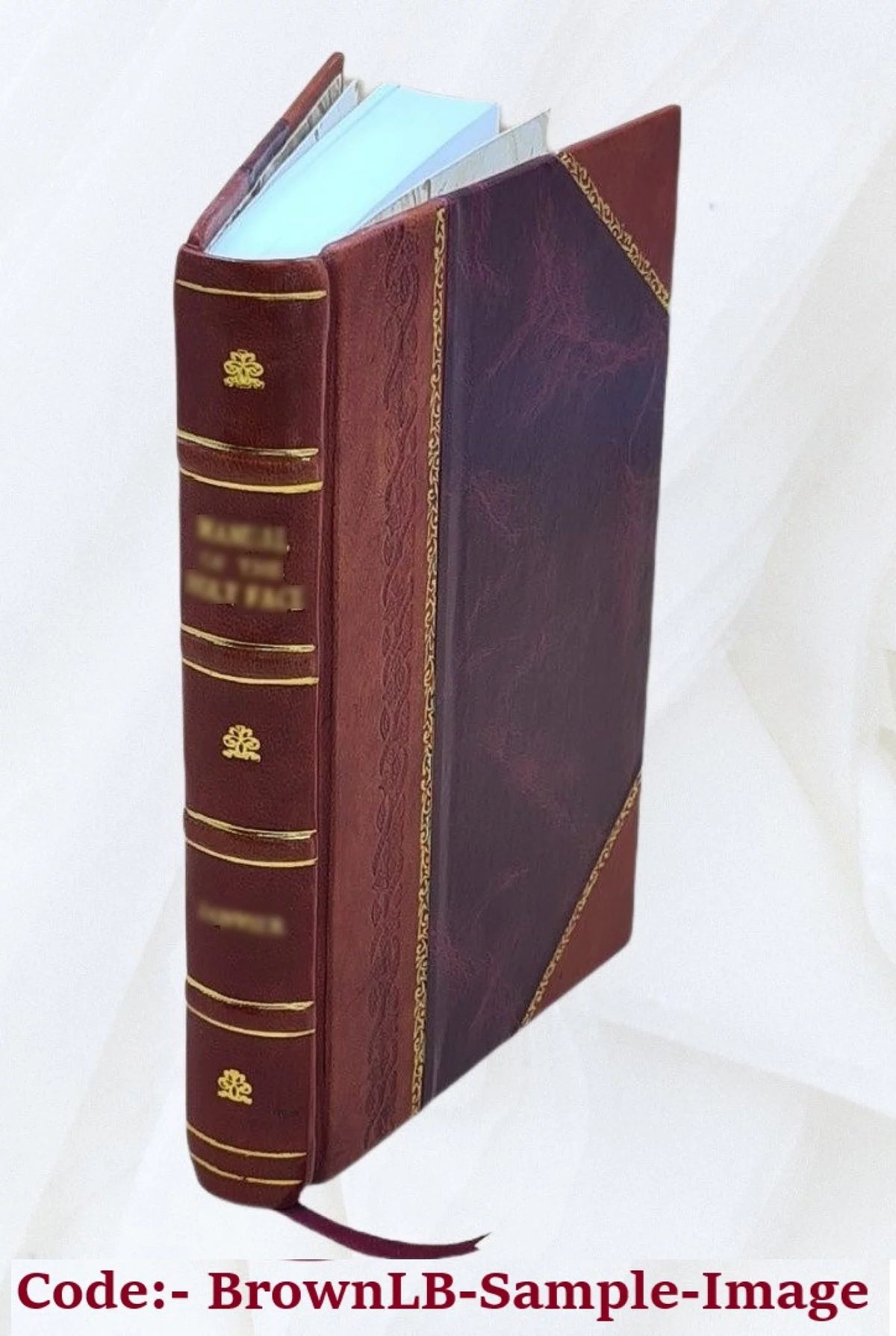 Leather Bound Encyclopedia W107
