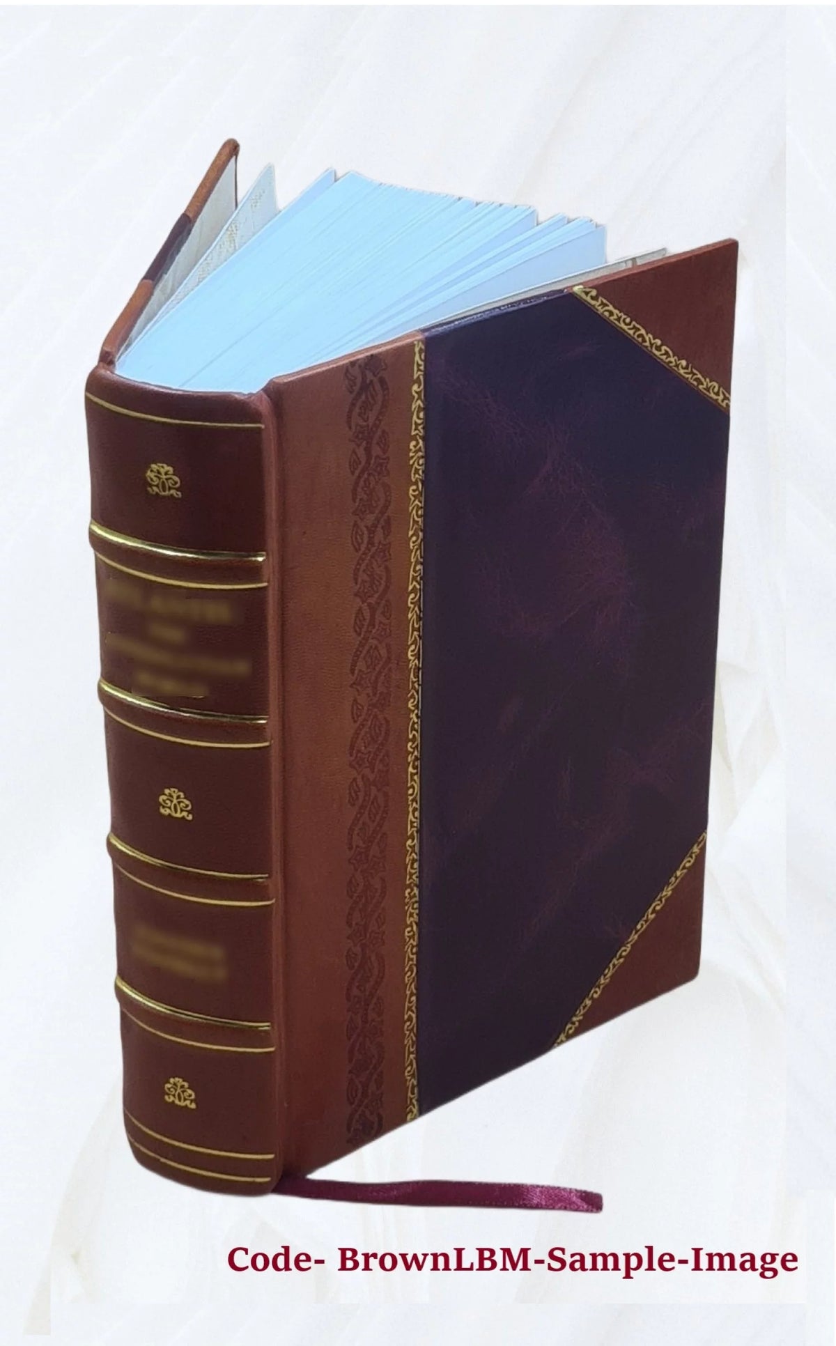 Libro storico su Pio VII O333