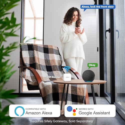 Fingerprint Smart Door Lock Silver E6596