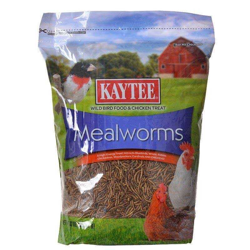 Mealworms Bird Food D538347