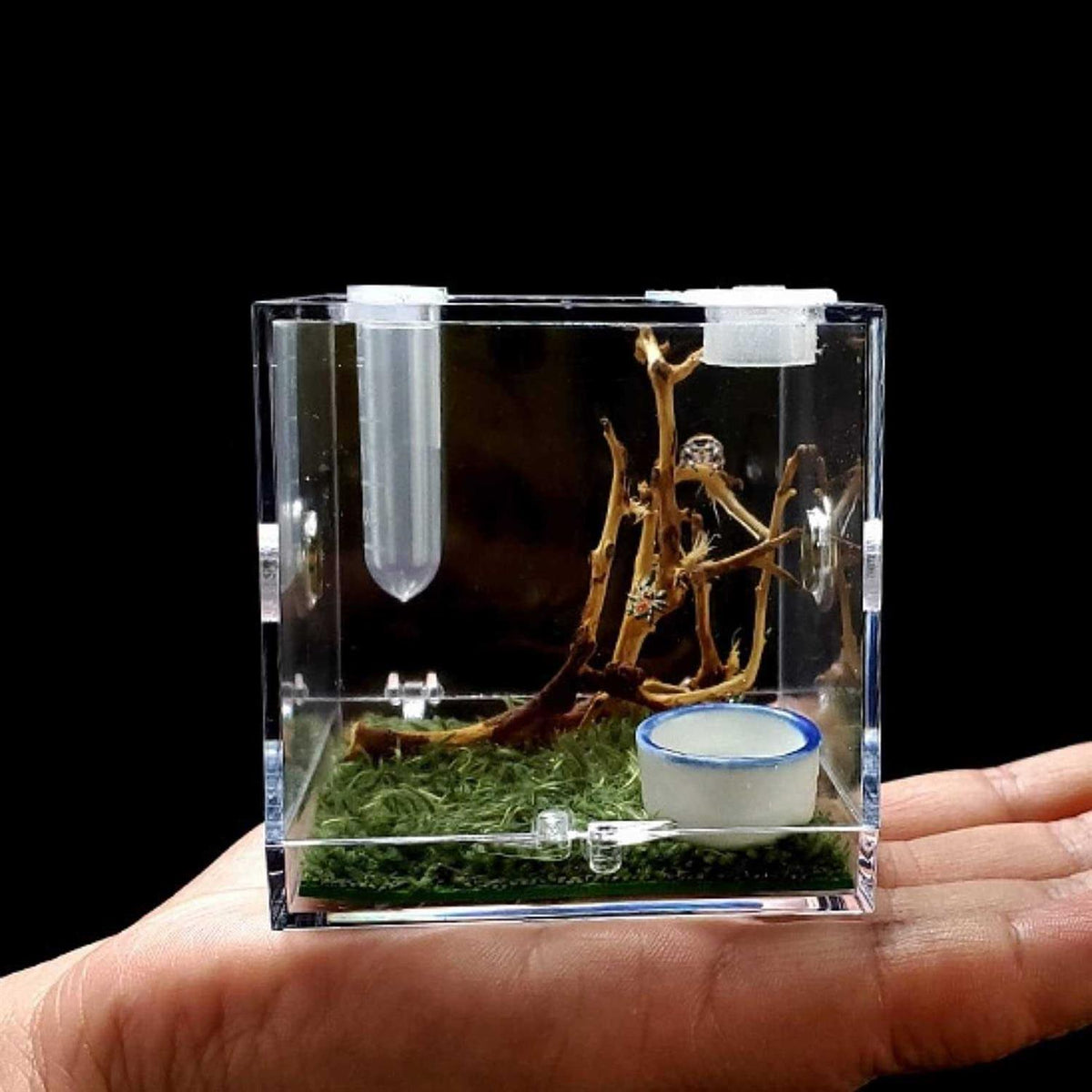 Acrylic Reptile Breeding Box with Dropper Tongs T53992