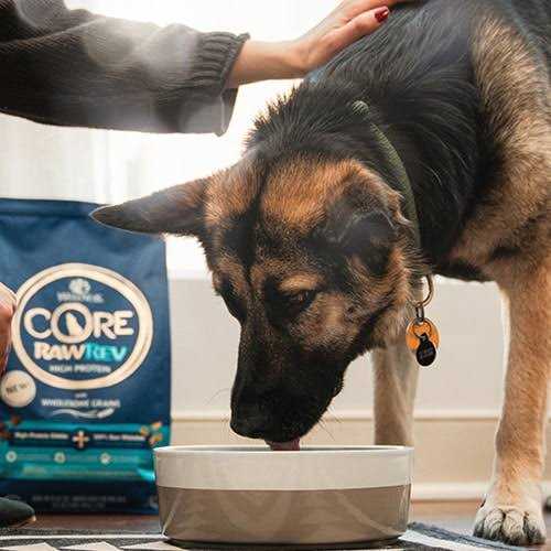 Grain Free Whitefish Dog Food C82805