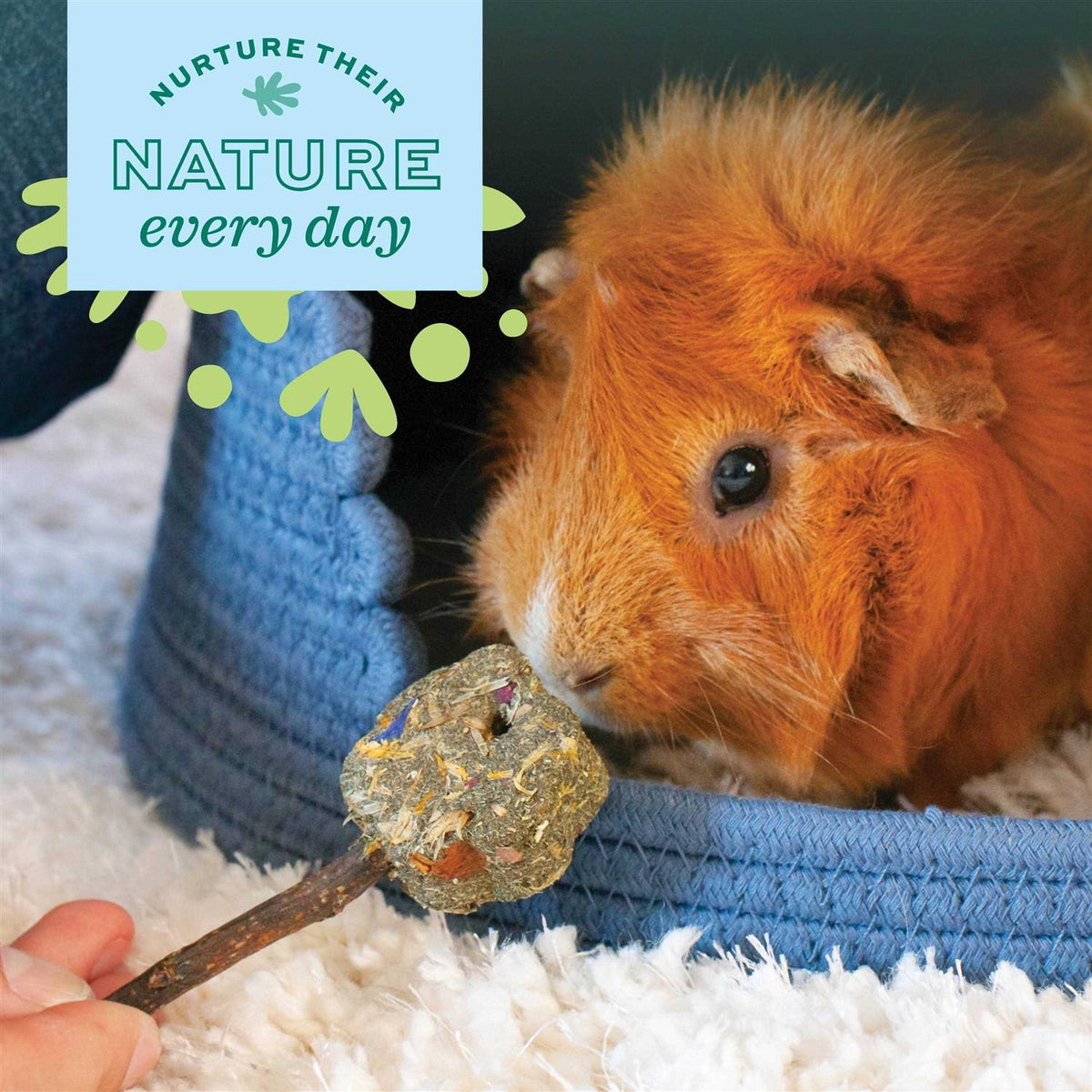 Young Guinea Pig Food Z652