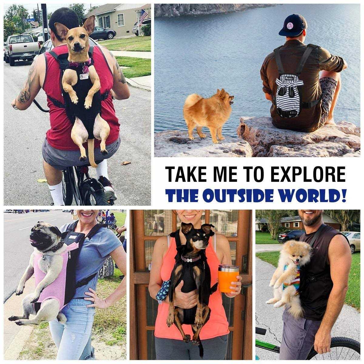 Adjustable Pet Carrier Backpack B550588