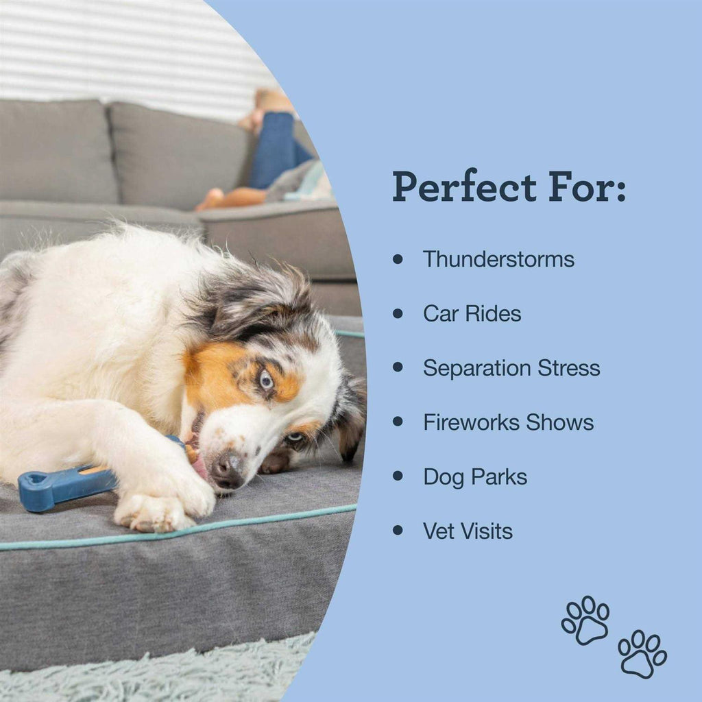 Calming Bone Pet Supplies B635754