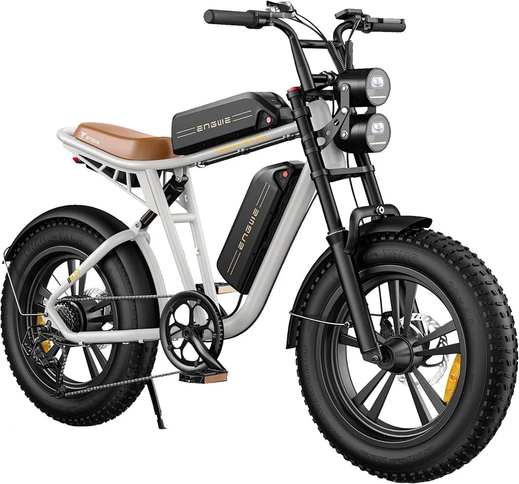 750W 20" Fat Tire Electric Bike with 48V/26Ah Battery F210780