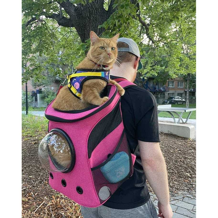 Cat Backpack U92004