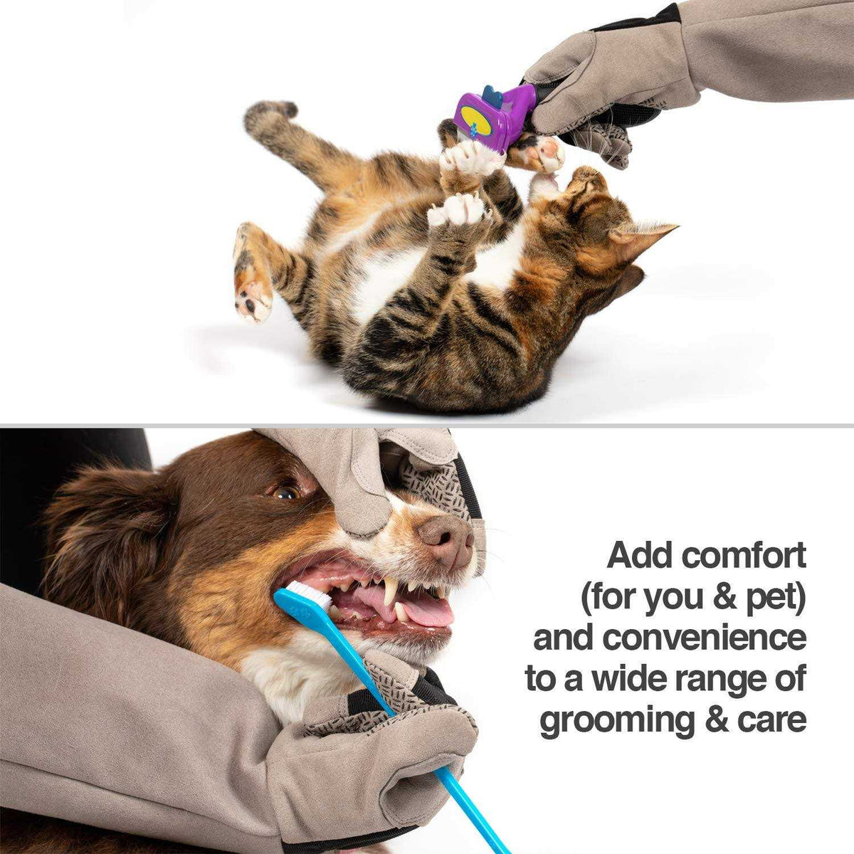 Multipurpose Pet Glove for Grooming E866328
