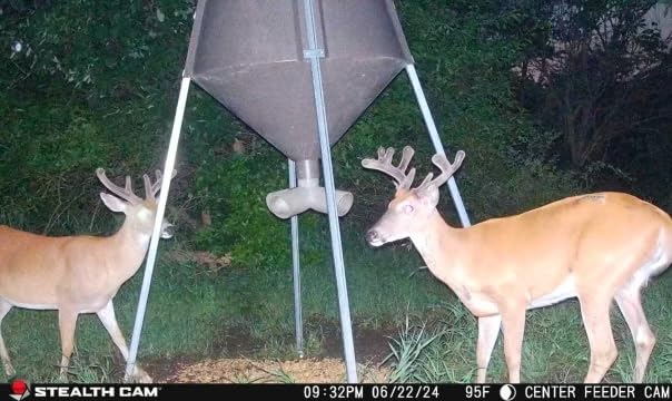 40MP Cellular Trail Camera B646323