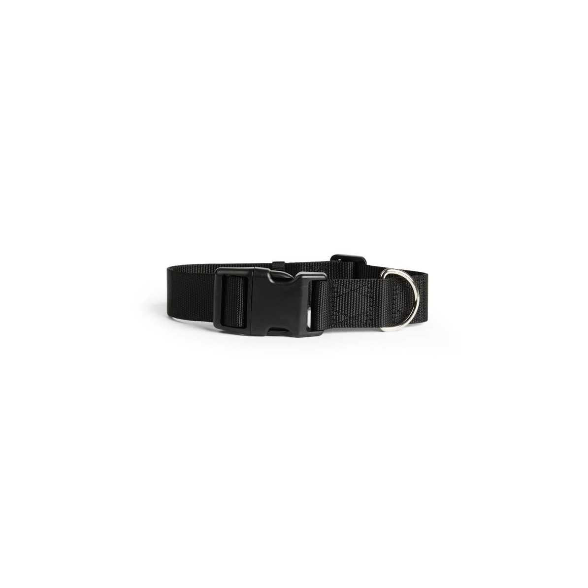 Adjustable Dog Collar R962967