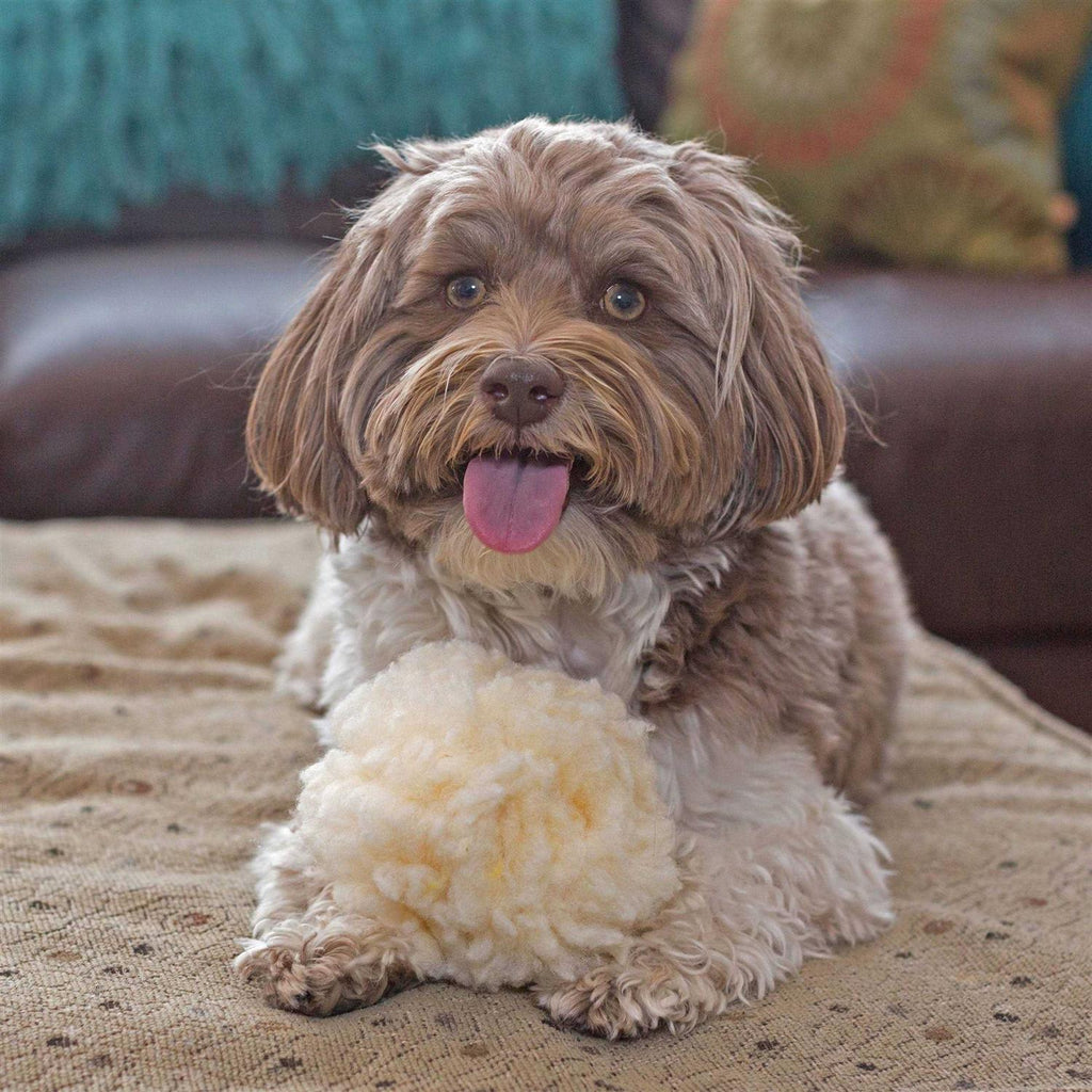 HuggleFleece Ball Dog Toy E7268