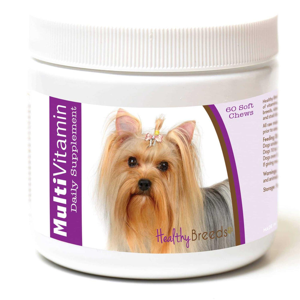 Terrier Multi-Vitamin Soft Chews K255