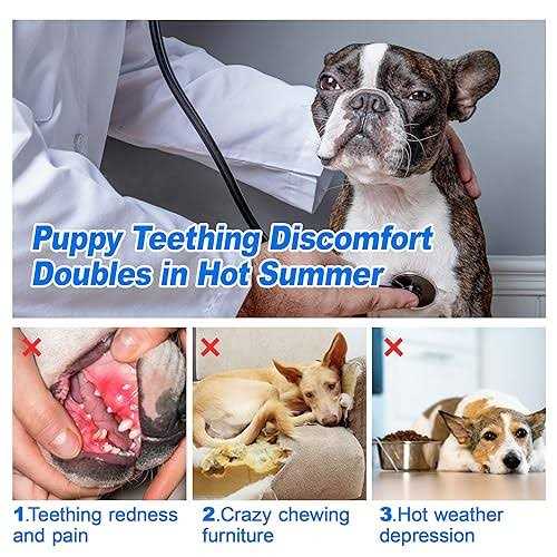 Frozen 3 Pack Puppy Chew Toys G964