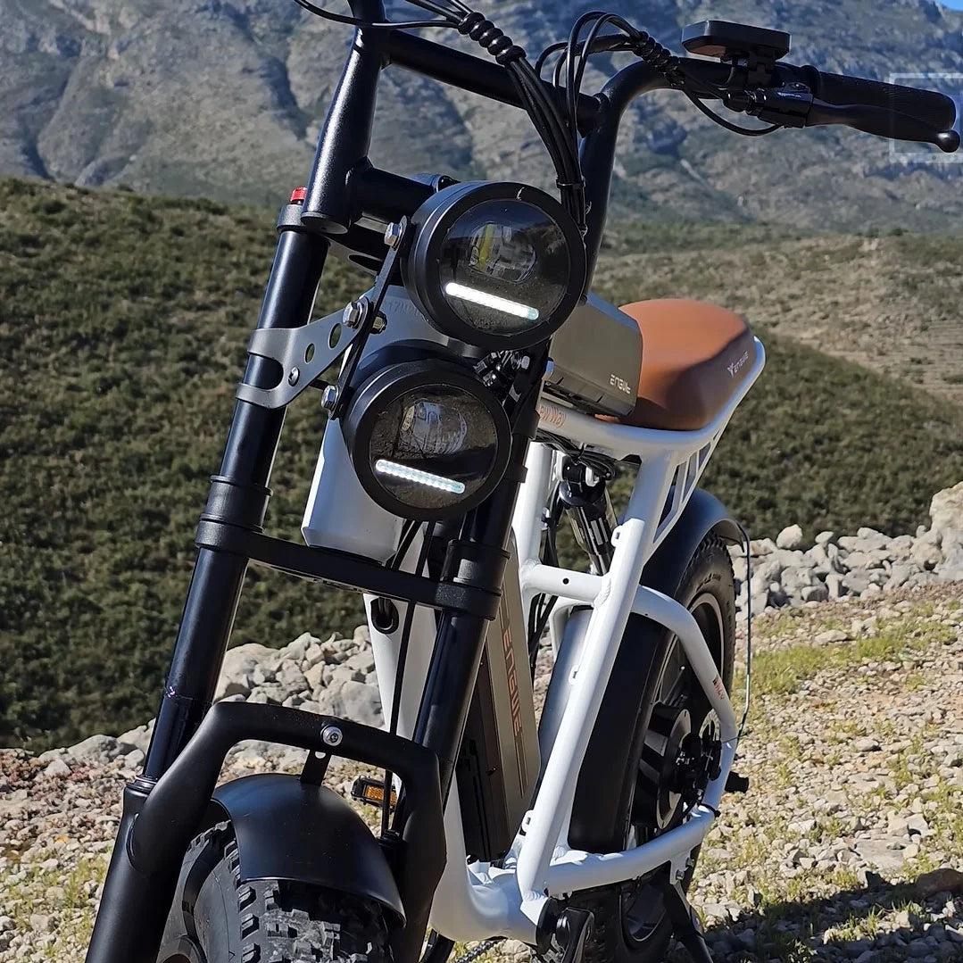 750W 20" Fat Tire Electric Bike with 48V/26Ah Battery F210780