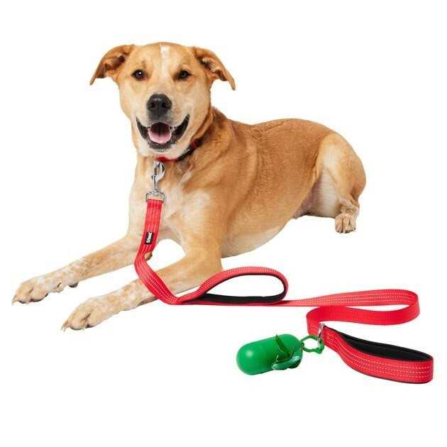 Traffic Leash with Dual Padded Handles & Poop Bag Dispenser K186771