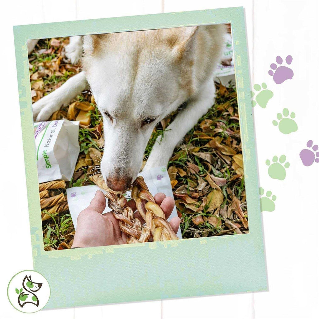 Braided Bully Sticks for Dogs Natural Beef Bones O283