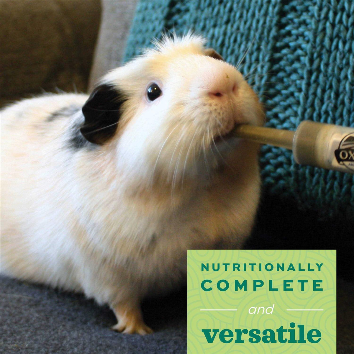 Young Guinea Pig Food Z652