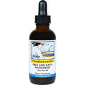 Free and Easy Wanderer Liquid P443