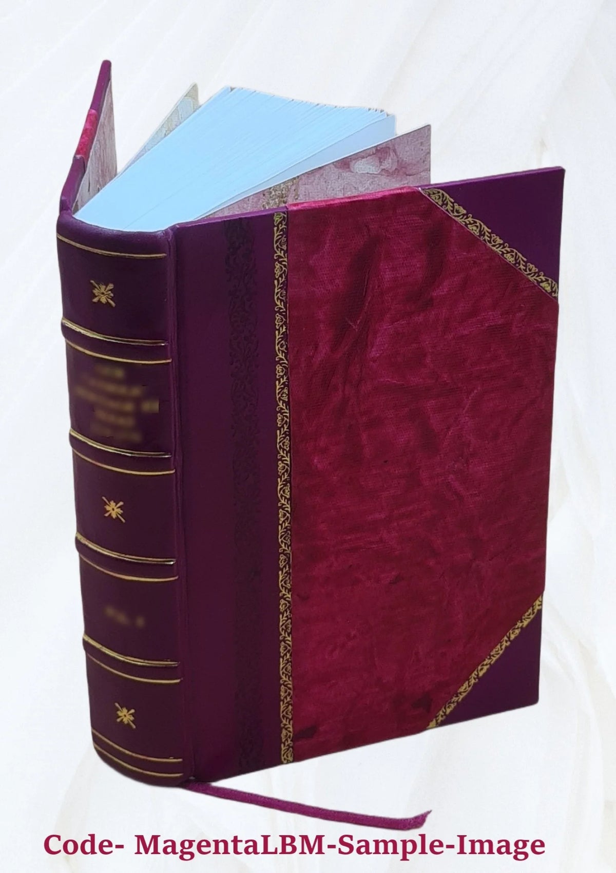 Libro storico su Pio VII O333