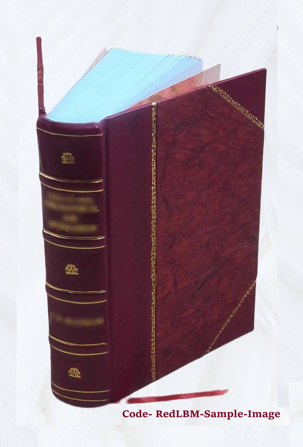 Libro storico su Pio VII O333