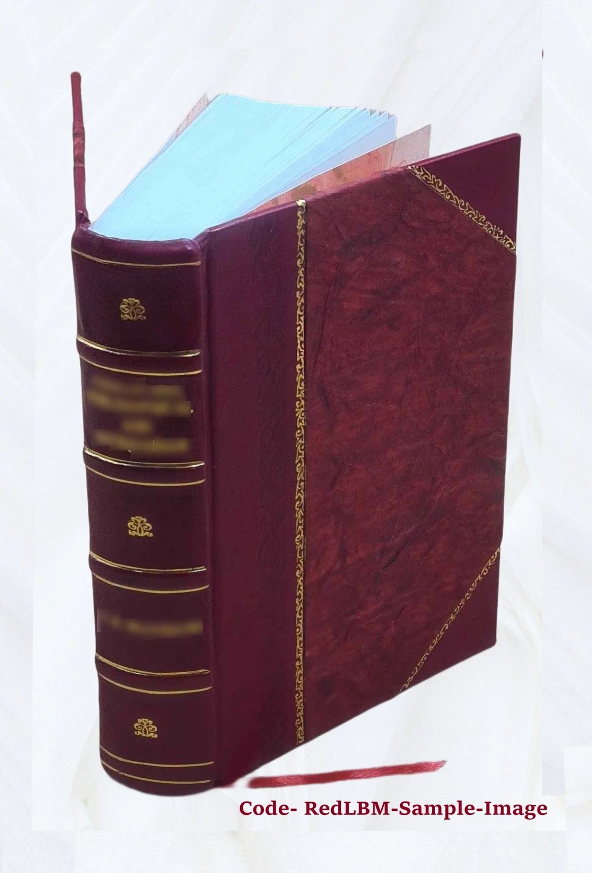 Libro storico su Pio VII O333
